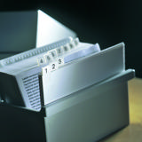 3L Selbstklebende Kartenreiter, permanent, vorgedruckt mit A bis Z/1 bis 31/JAN bis DEC, 10 x 150 mm