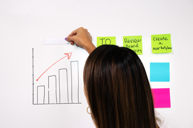 Magnetische etikethouder, 25 x 75 mm, zonder etiketten