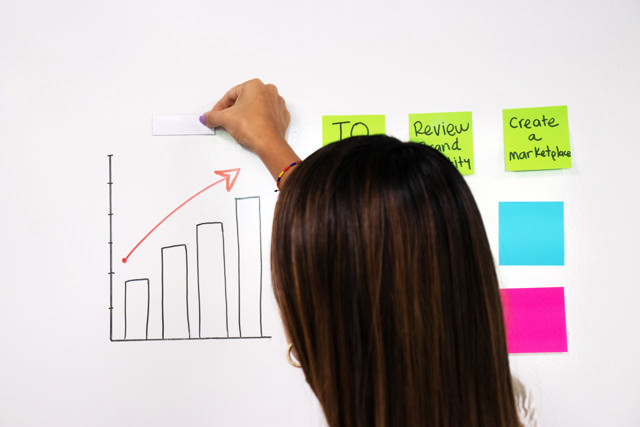 Magnetische etikethouder, 25 x 75 mm, zonder etiketten