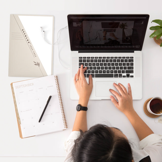 Tree-Free | Arkiverings Lomme | Folio